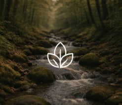 Die schönsten Naturgeräusche zum Einschlafen